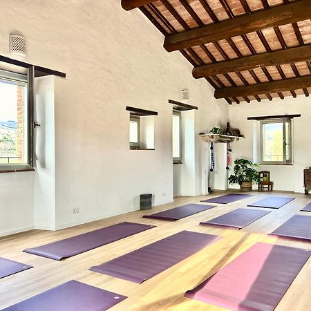 La Fattoria Del Rio Di Sopra - Agriturismo Baldeschi تورو سول تراسيمينو المظهر الخارجي الصورة